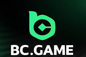 Download the BC.Game SK App Your Ultimate Gaming Experience Awaits 1018565330