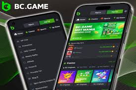 Exploring BC.Game Casino A New Era of Online Gambling in Indonesia